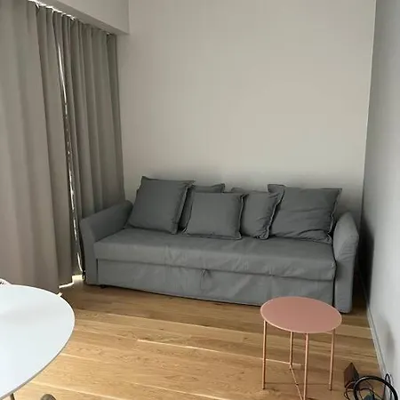 Flat In Paernu, Esplanaadi Street & Kitchen Apartment