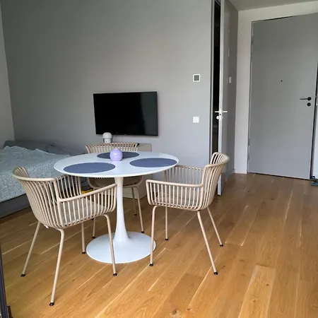 Flat In Pärnu, Esplanaadi Street Studio&kitchen Apartment Pärnu