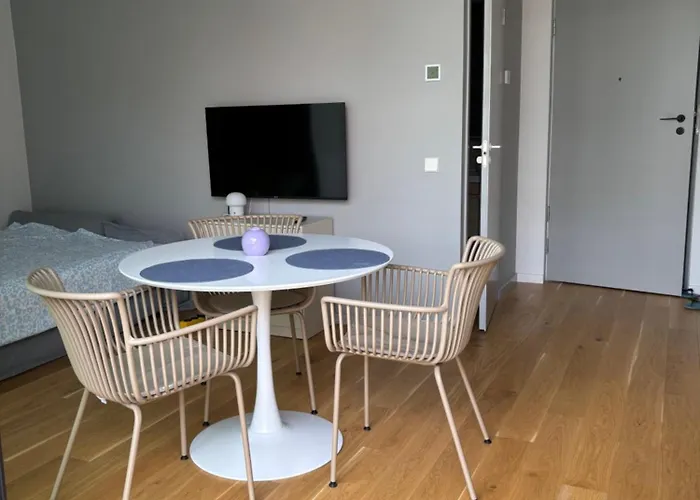 Flat In Paernu, Esplanaadi Street & Kitchen Apartment Parnu